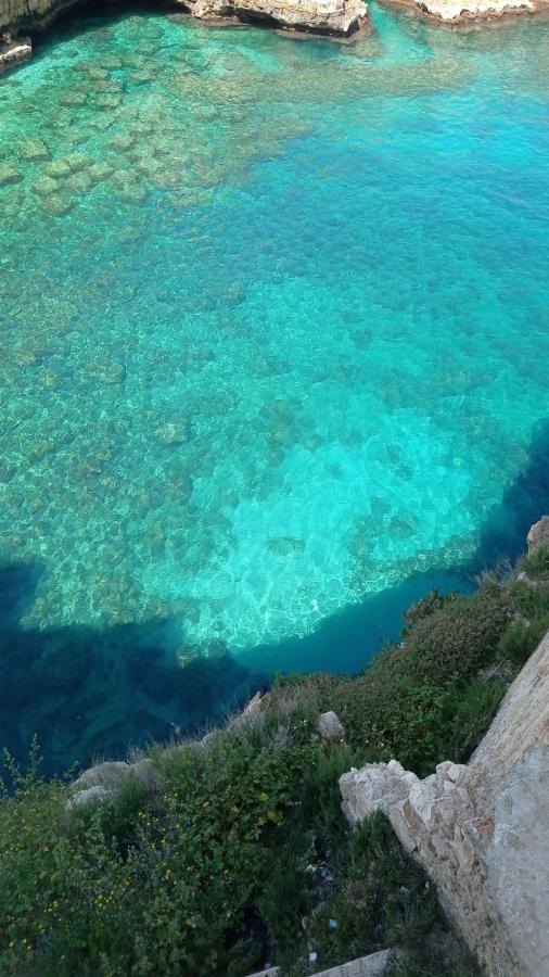 B&B Volare Polignano a Mare Zewnętrze zdjęcie